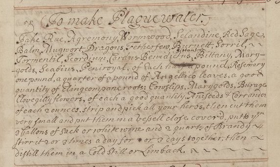 plague water v.b.380 cropped.jpg