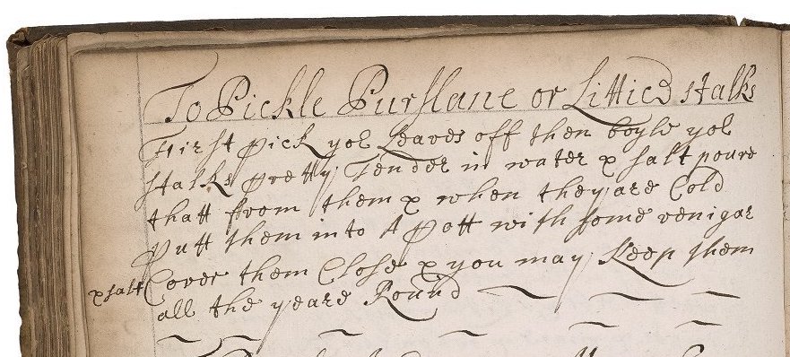 pickled purslane cropped.jpeg