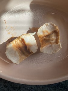 cut apple aftecut apple after two days additional drying